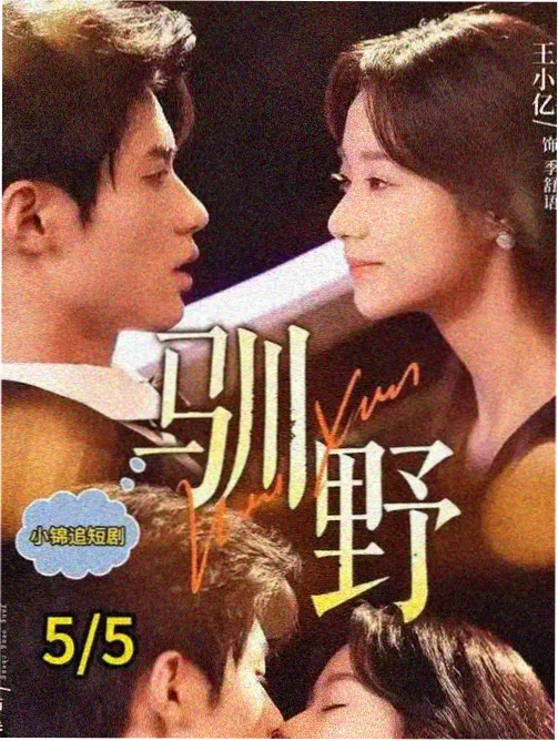 网咖大屏播放纪录片自然风光画面
