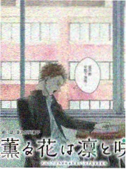 网吧影院联排格间的一排座位与背板隔断